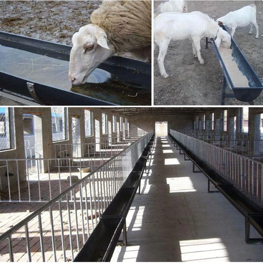 Application of plastic sheep feed trough Application of plastic sheep feed trough