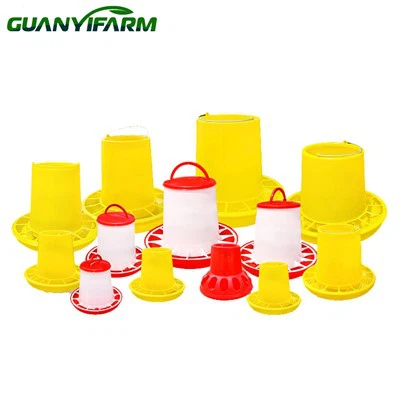 Тарелка с куриной едой