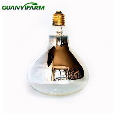 Ясная тепловая лампа