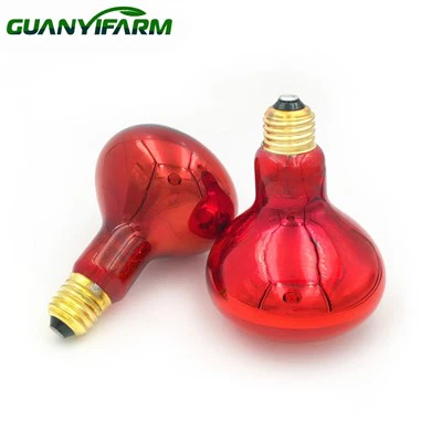 Тепловая лампа для цыплят