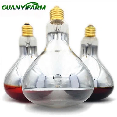 R125 Infrared Heating Bulb For Poultry