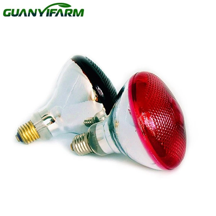 Infrared Red Light Lamp