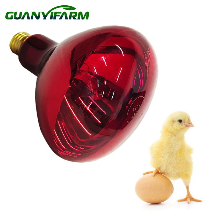 R40 Инфракрасная тепловая лампа