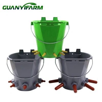 Теленка кормления ведро